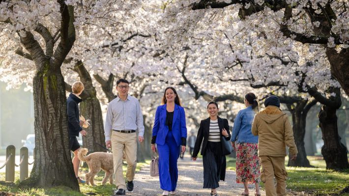 Spring & Summer in Christchurch: What’s On, What to Do